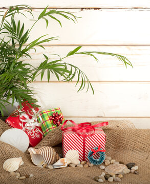 Tropical Christmas Still Life With Gifts And Sea Shells Against White Shiplap Background With Copy Space