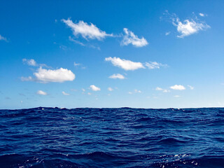 Perfect passat (trade wind) cumulus clouds flying over deep blue ocean, view from the deck of a luxury yacht crossing the Pacific, ample copy space below crisp horizon.
