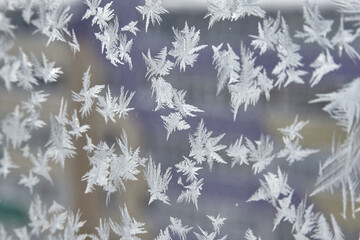 The Foliage blue and lace on black background in pattern freezing on window.
Frozen glass with textures and patterns.