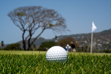 pelota de golf en el campo sin tee