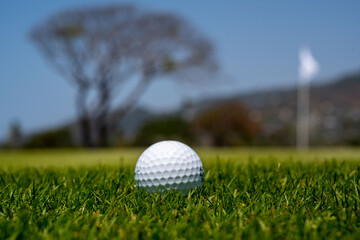 pelota de golf en el campo sin tee