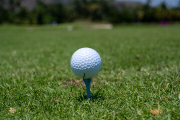 pelota de golf en un tee 