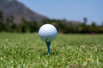 pelota de golf en un tee 