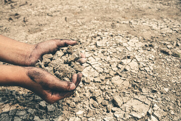 Hand for planting tree back to the forest, Creating awareness for love wild, To reduce drought.
