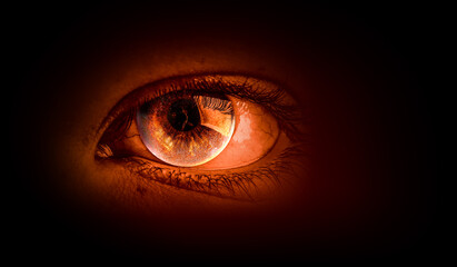 Naklejka premium Macro image of human eye