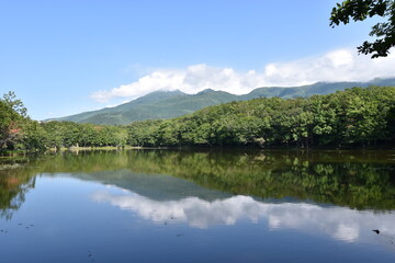 Fototapeta na wymiar landscape of Shiretoko Japan