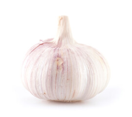 Garlic on a white background