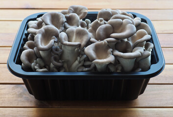 신선한 유기농 느타리버섯
