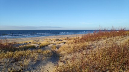 dunes and sea