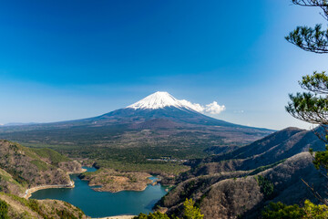 Mt Fuji and Lake Shojiko