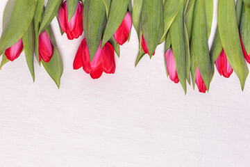 Pink and red tulips and copy space on white linen background