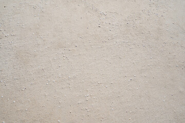 Sandy beach texture with small seashells on beach in sunny day Image for nature travel background Summer Design website concept