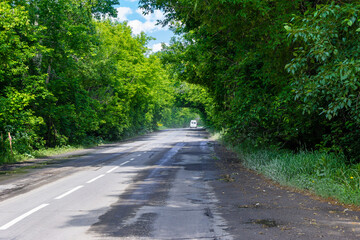 on a wet asphalt road, through the forest forming green arches from the branches, a white minibus leaves