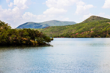 Canios do Rio São Francisco