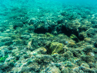 Aracaju, praia do seixas