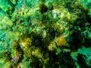 Aracaju, praia do seixas