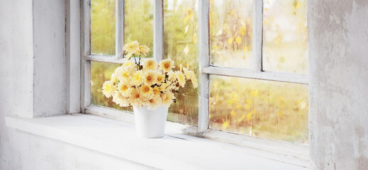 chrysanthemums in  vase on  windowsill in autumn
