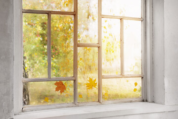 white old wooden window with rain drops and autumn leaves