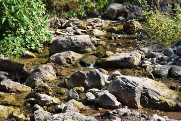 Water stream flowing through the stones