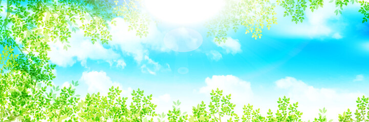 Fototapeta premium 新緑 葉 春 背景 