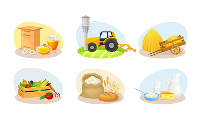 Farming Composition with Agricultural Crops and Farming Inventory Vector Set