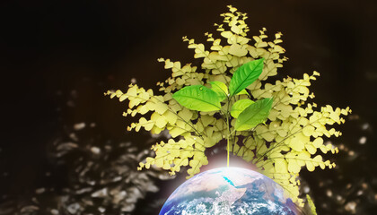 New growth green leaves with bright light from earth on fern nature background with water bokeh for...