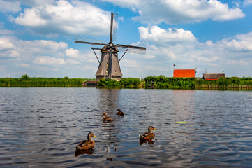 Scenic view of traditional Dutch windmill and canals at the town of Kinderdijk in the south of the Netherlands - 422222851