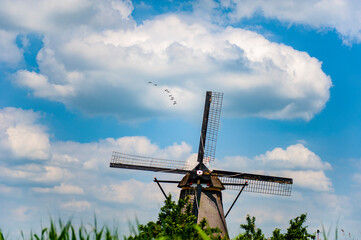 Flock of ducks flying above a traditional Dutch windmill at Kinderdijk, the Netherlands - 422222881