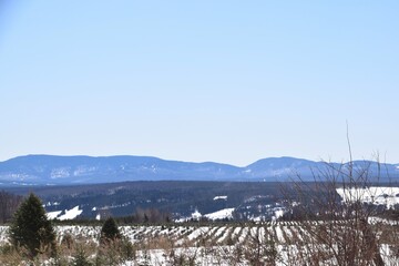 The Road of Summits during springtime