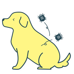 犬　ダニ・ノミで痒い