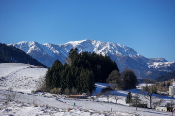 Schneeberg, Puchberg am Schneeberg, Niederösterreich, Österreich © Manfred Herrmann