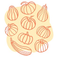 Set with Pumpkin  on orange background. Autumn harvest. Hand drown Vector illustration. Paper, menu, restaurant, cafe and textile design.Farming, Halloween celebrating. Gifts by nature.