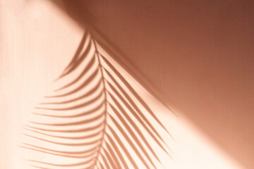 Palm leaf shadow on beige background. Minimalism.