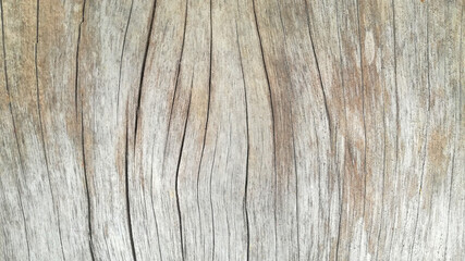 Solid wood with fine line cracks as a background.