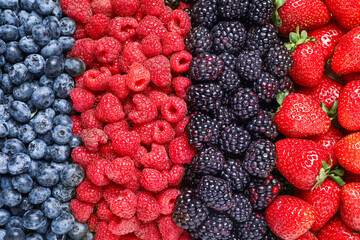 Different fresh berries as background