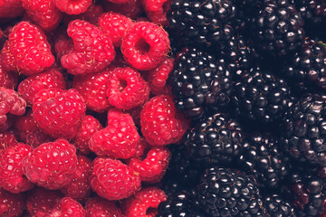 Different fresh berries as background