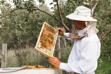 collect honey: honeycomb close-up. Beekeeping works: bees, honeycombs, honey