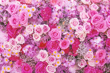 Blossom background of colorful roses daisy and orchid decorative for  wallpaper