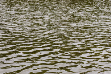 The ripples on the dark green water during daytime. lake water background