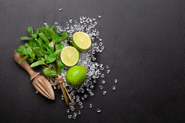 Mojito cocktail making. Ingredients and drink utensils