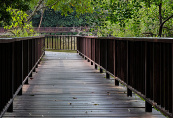 Wooden bridge in the park. natural background.