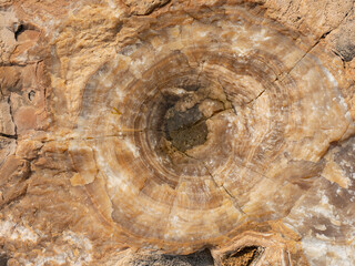 strange quartz and granite rock with circular streaks