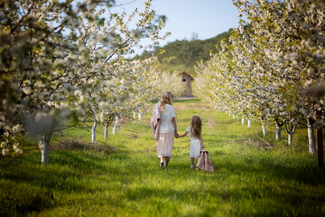 A mother and a young daughter walk in a blooming cherry orchard. A mother loves her child. Spring history. Happy family on a beautiful spring day