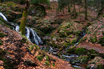 moss covered stone