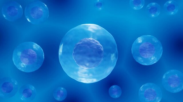 Embryonic stem cells floating in a liquid, ips cell treatment 3d illustration