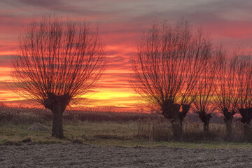 OLYMPUS DIGITAL CAMERA © KrzysztofAleksander