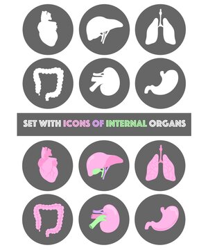 Isolated Icons with internal organs in vector illustration. Lungs, heart, liver, stomach, guts, kidney. Colorful and black and white. Web, social media and messenger icons. 