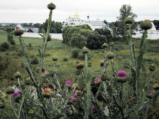 Panoramic view of Pokrovsky monastery in Suzdal, Russia.