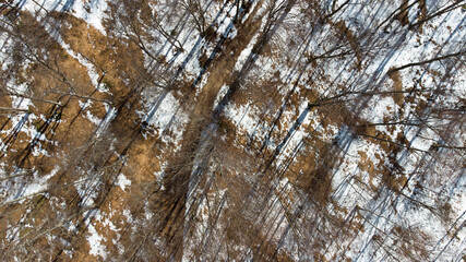 Aerial top view of the forest at winter time. No leaves on the branches and forest is partially covered with with snow