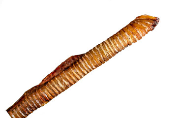 Dried beef trachea king size, isolated on a white background.